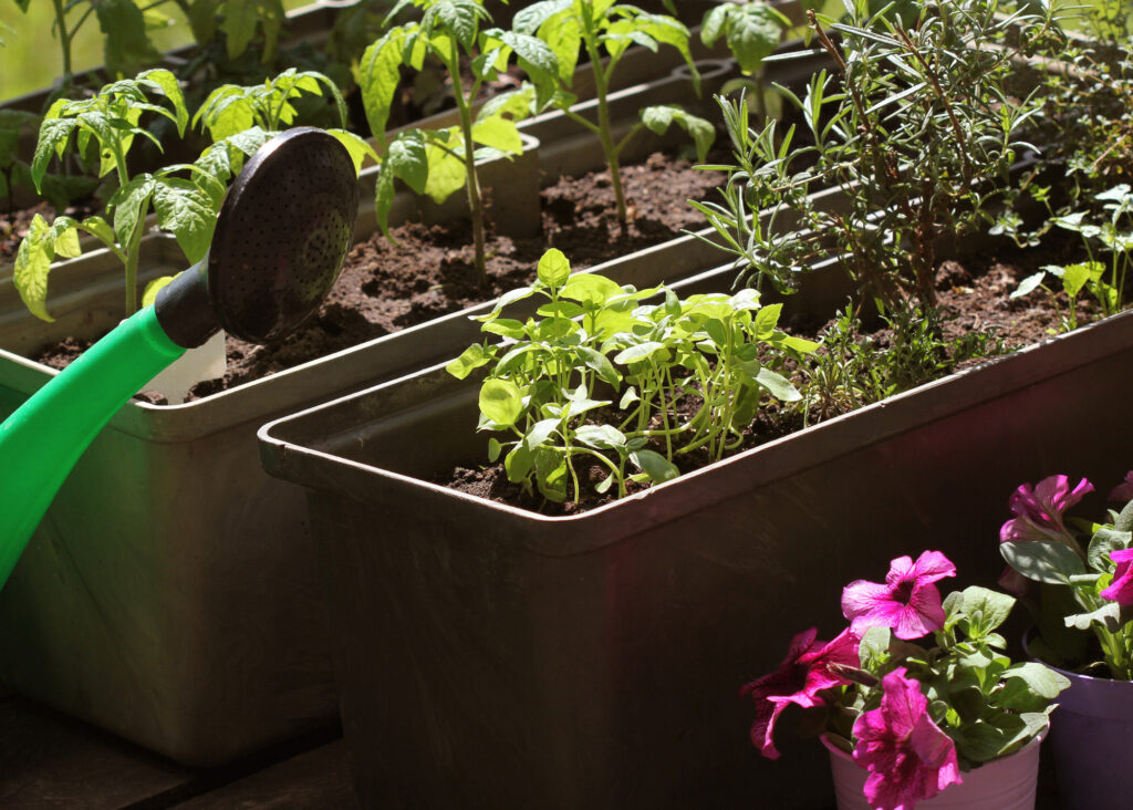 Raised Garden Bed